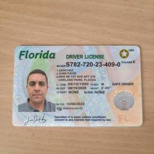 Florida Drivers License