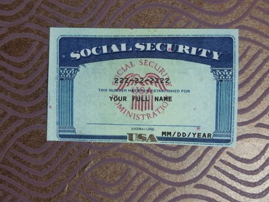 Social Security numbers (SSNs)